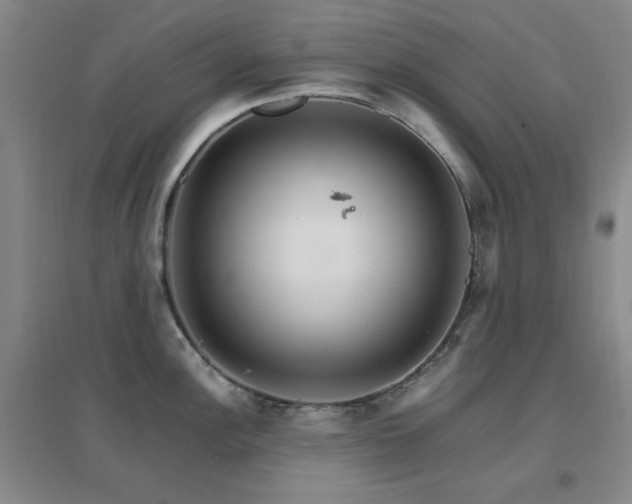 X0000096701148200802051405