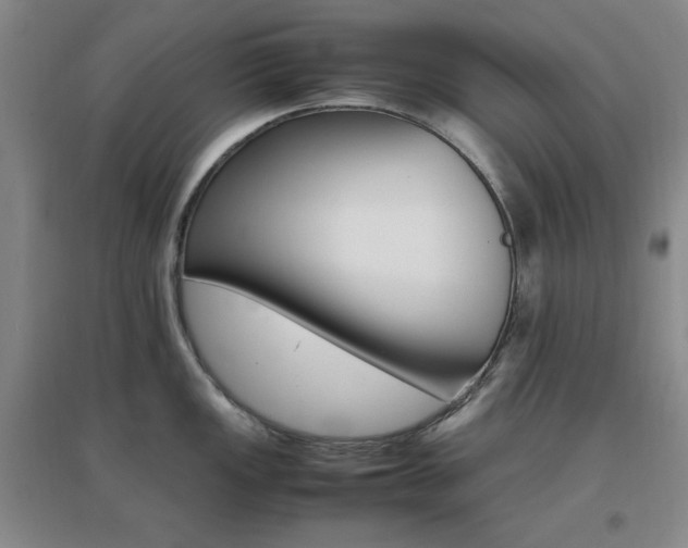 X0000096701149200802051405