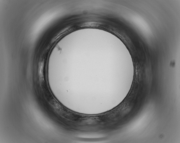 X0000096701150200802051405