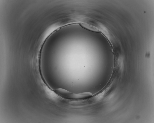 X0000096701151200802051405