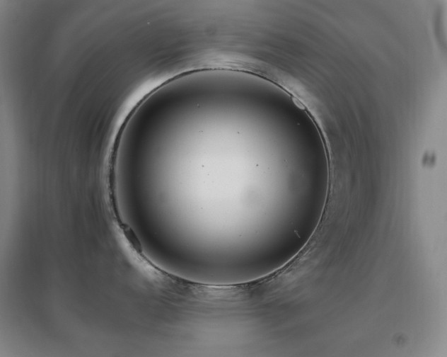 X0000096701152200802051405