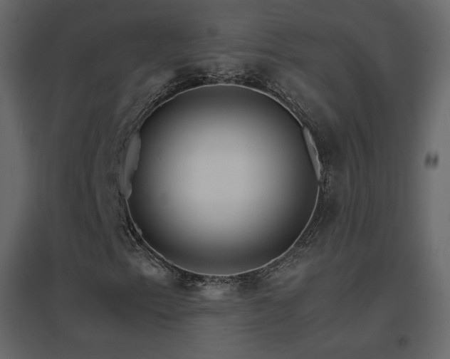 X0000096701153200802051404
