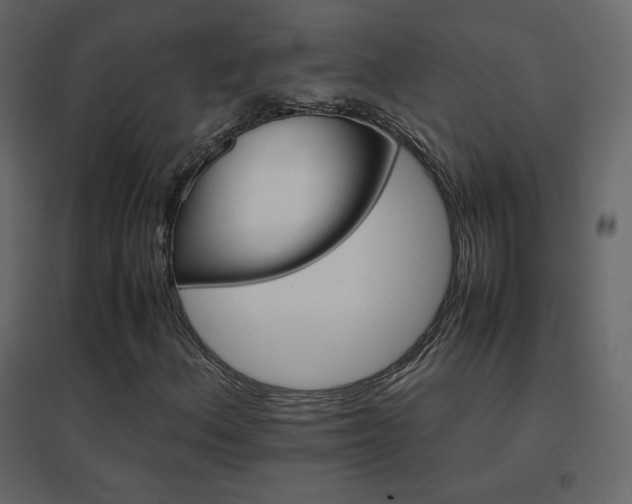 X0000096701156200802051404