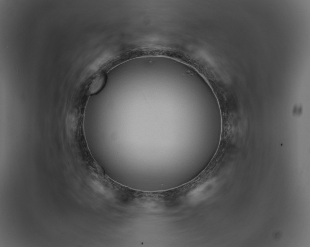 X0000096701157200802051404