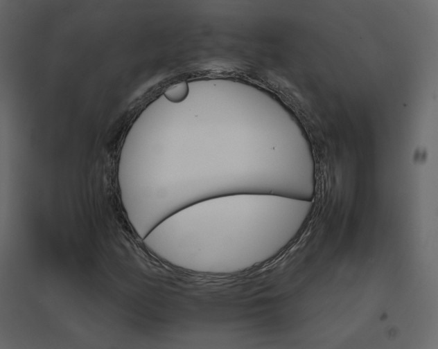 X0000096701158200802051404