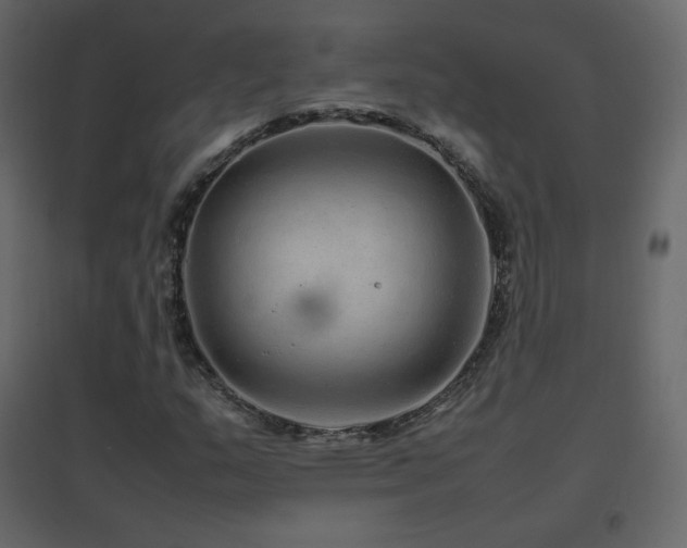 X0000096701159200802051404