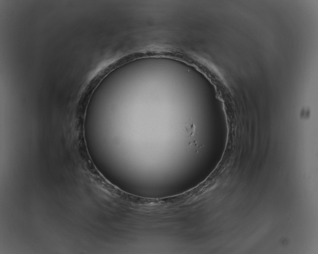X0000096701160200802051404