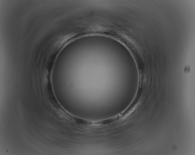 X0000096701161200802051404