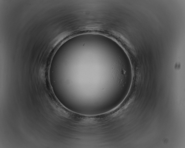X0000096701162200802051404