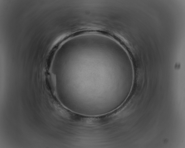 X0000096701163200802051404