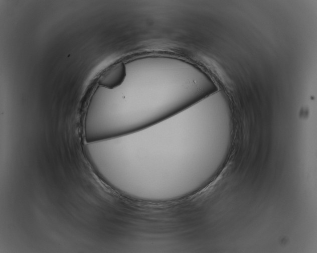 X0000096701164200802051404