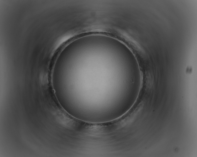 X0000096701166200802051404