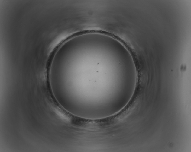 X0000096701167200802051404