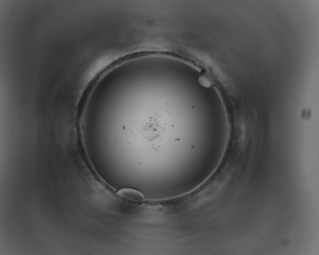 X0000096701168200802051404