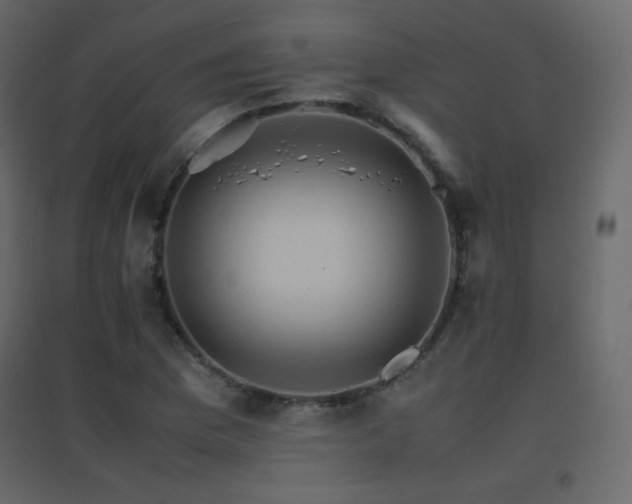 X0000096701169200802051404