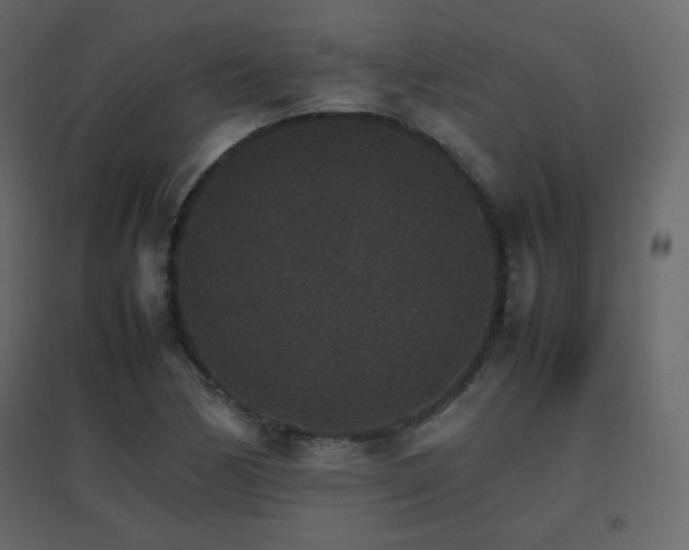X0000096701170200802051404