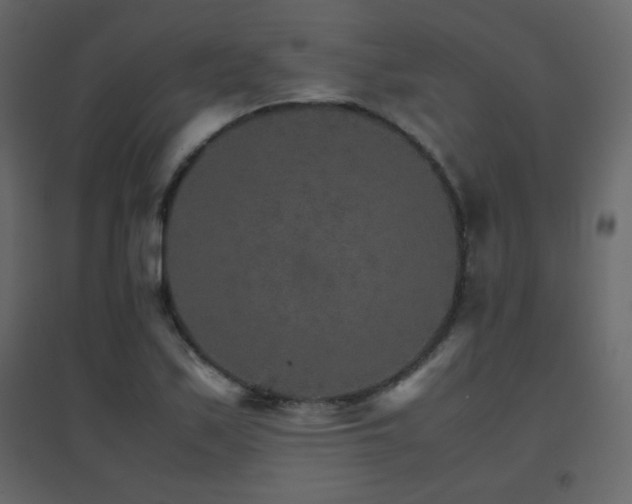 X0000096701171200802051404