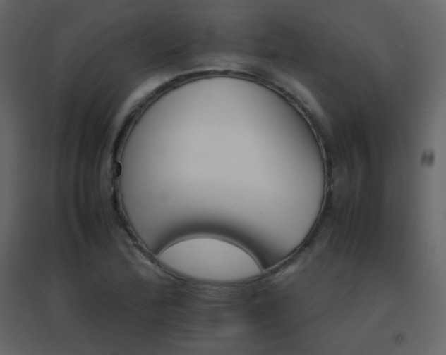 X0000096701172200802051404