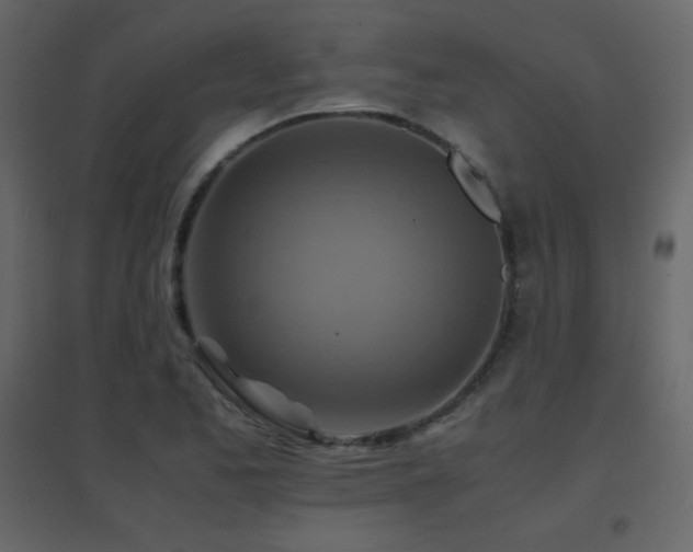 X0000096701173200802051404