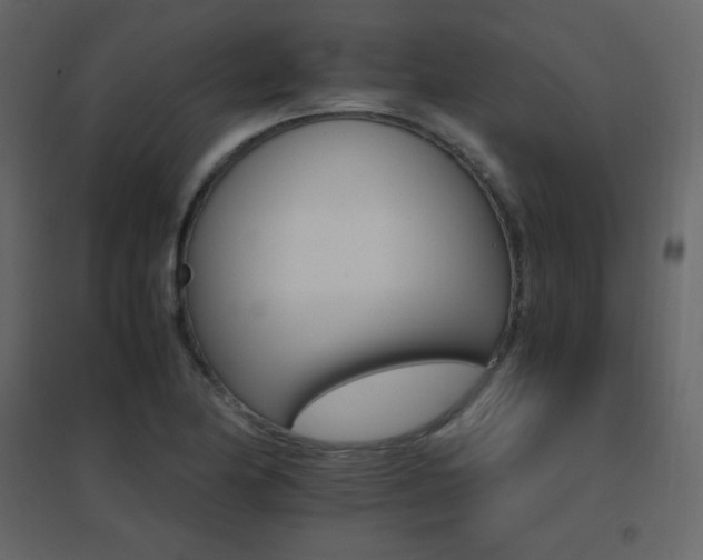 X0000096701174200802051404