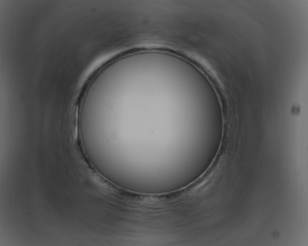X0000096701175200802051404