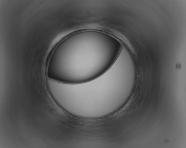 X0000096701176200802051404