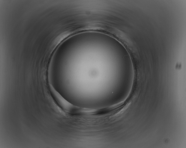 X0000096701177200802051404