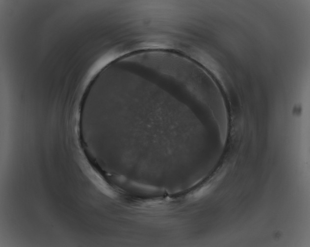 X0000096701179200802051403
