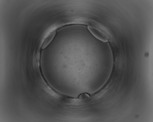 X0000096701180200802051403