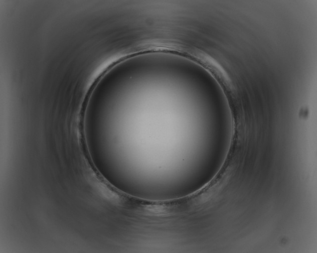 X0000096701182200802051403