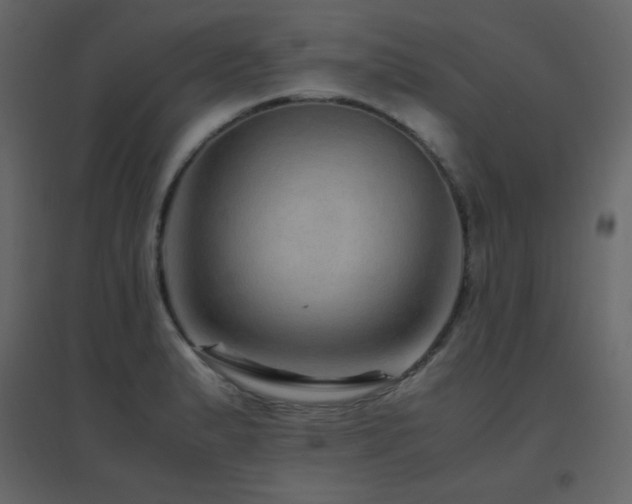 X0000096701183200802051403