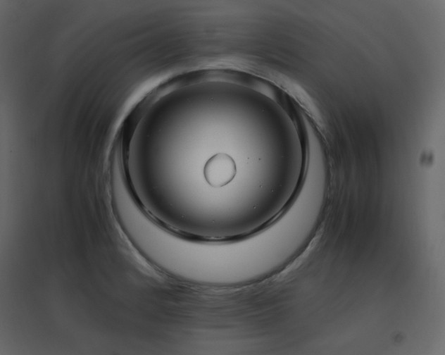 X0000096701184200802051403