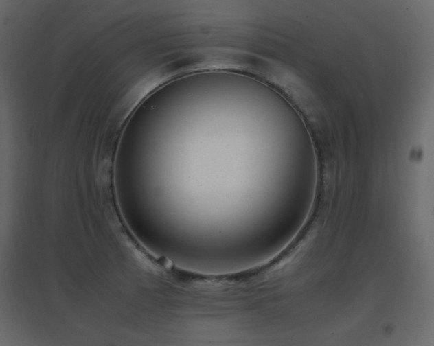 X0000096701185200802051403