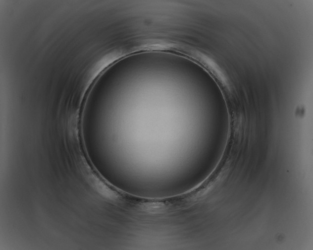 X0000096701186200802051403
