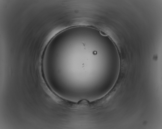 X0000096701187200802051403