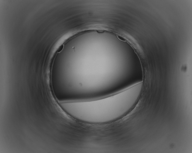 X0000096701188200802051403