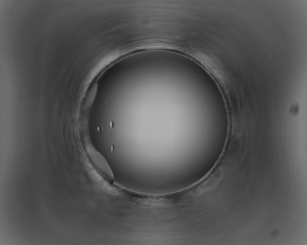 X0000096701189200802051403
