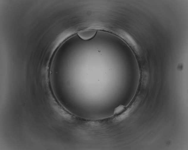 X0000096701190200802051403