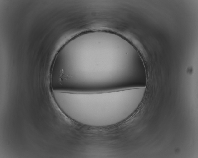 X0000096701191200802051403