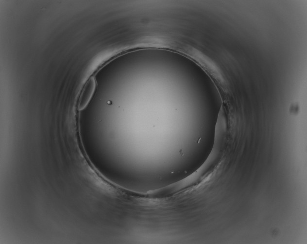 X0000096701192200802051403