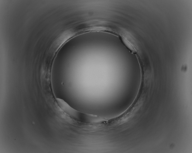 X0000096701193200802051403