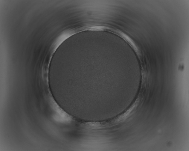 X0000096701194200802051403