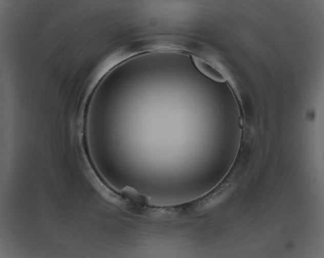 X0000096701195200802051403