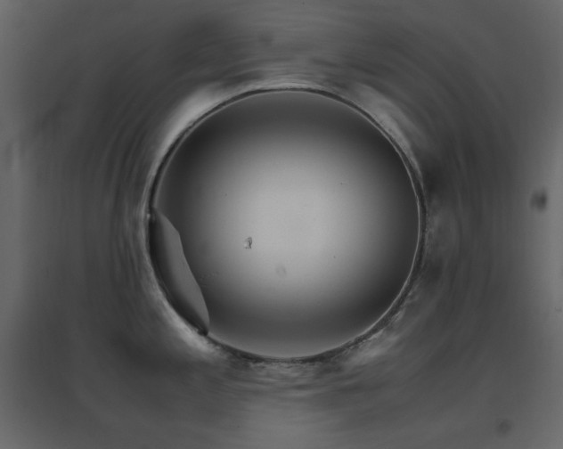 X0000096701197200802051403
