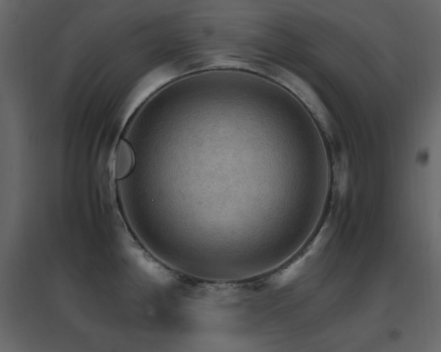 X0000096701198200802051403