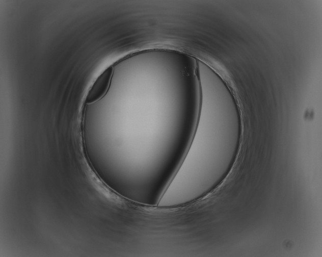 X0000096701200200802051403