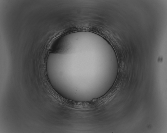 X0000096701201200802051402