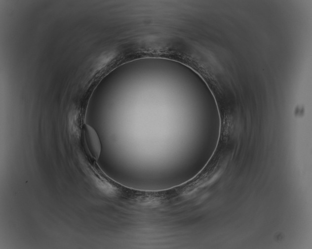 X0000096701202200802051402