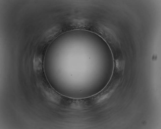 X0000096701203200802051402