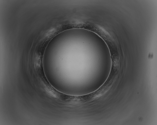 X0000096701204200802051402